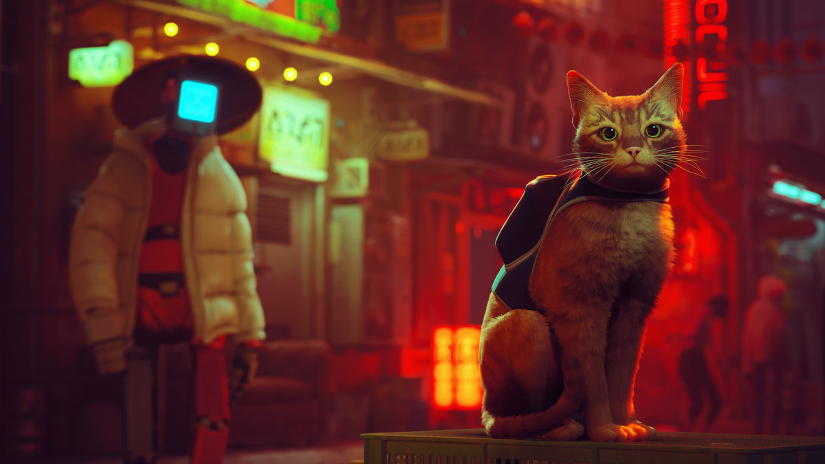 Stray: инди-игра, которая сделала людей котами и покорила интернет — Baza.io