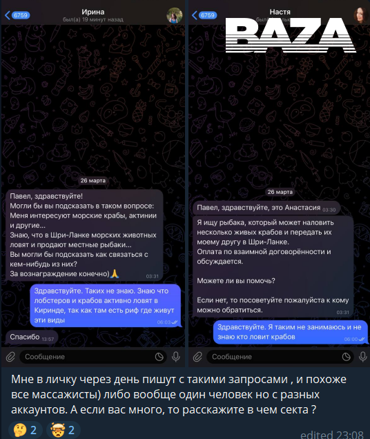 Постер публикации