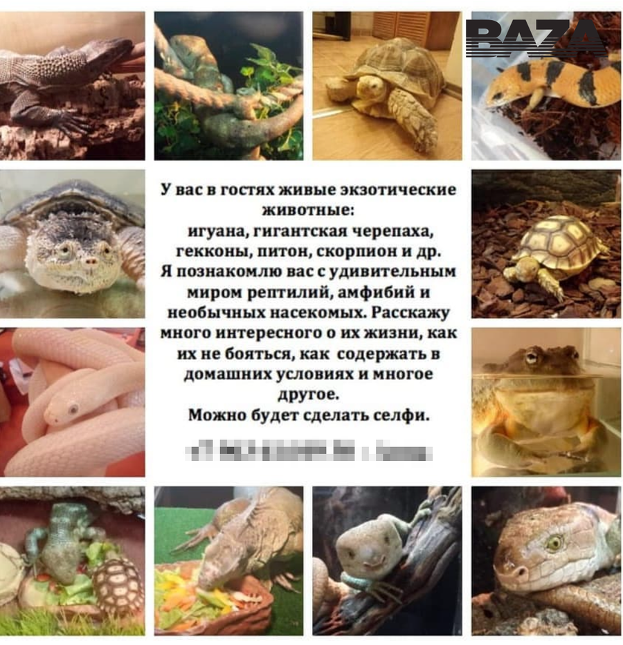 Постер публикации